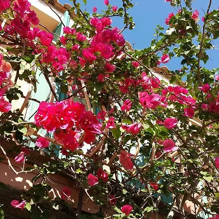 Provencale 3*