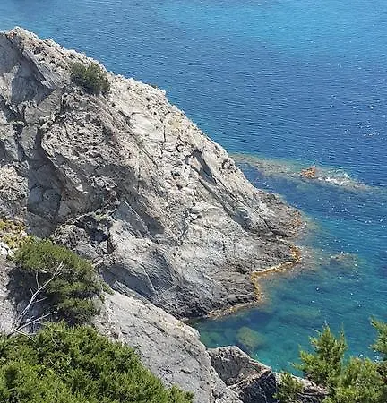 Bed & Breakfast Provencale 3*